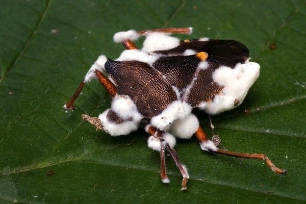 WhatsApp_Image_2025-06-03_at_09.26.03